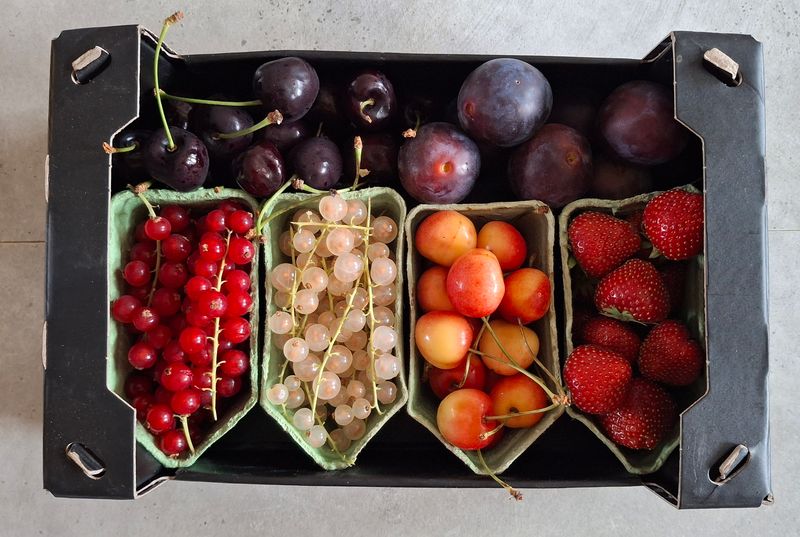 Zacht fruit pakket
