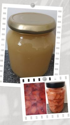 Huisgemaakt Fruit in pot