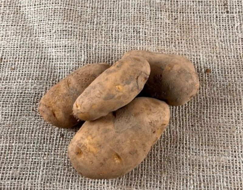 Nicola aardappels "Nieuwe oogst" 1kg