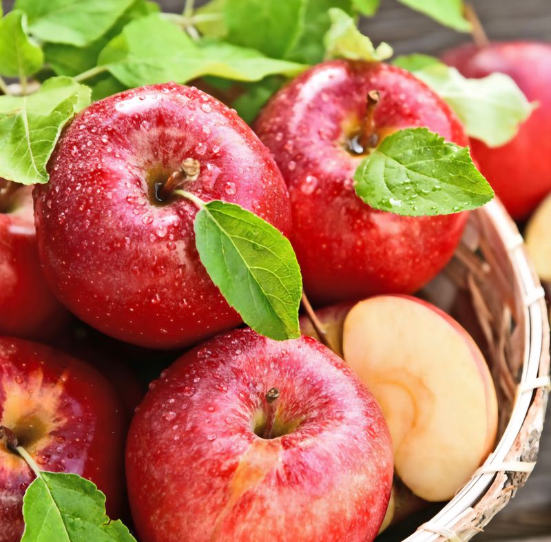 Wellant appels 1kg