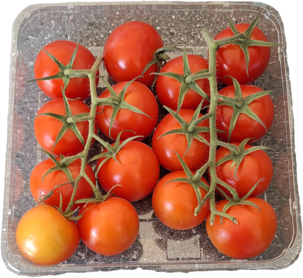 Cocktail tomaatjes 500gr