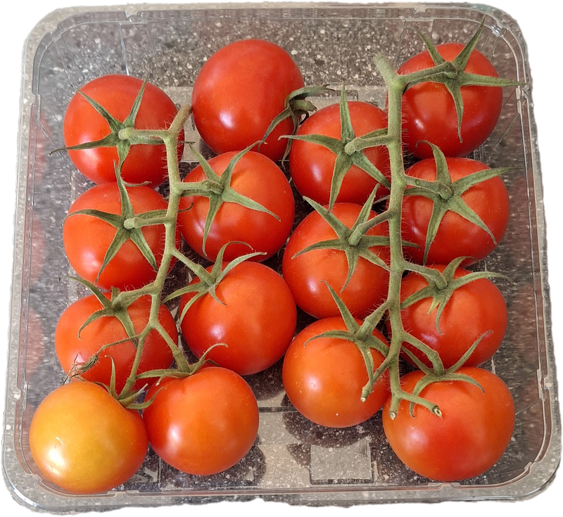 Cocktail tomaatjes 500gr