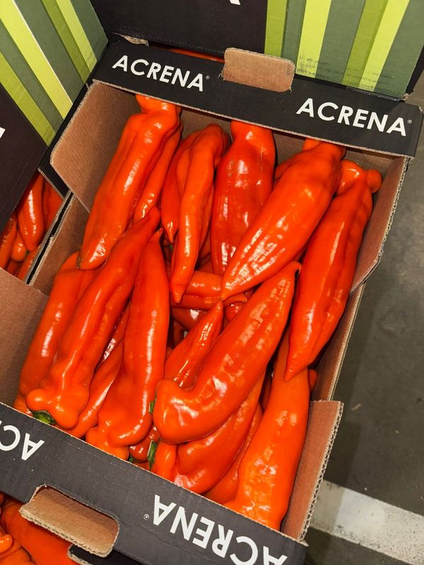 Punt Paprika Oranje per stuk