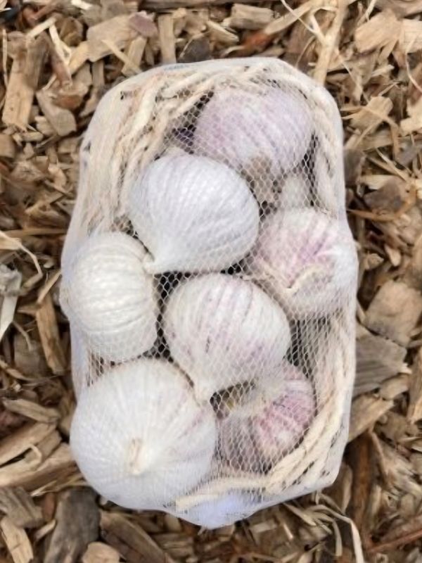 Solo knoflook 250gr