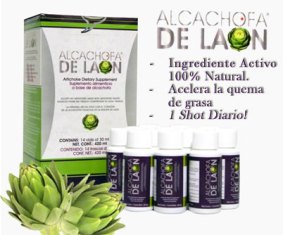 ALCACHOFA DE LAON