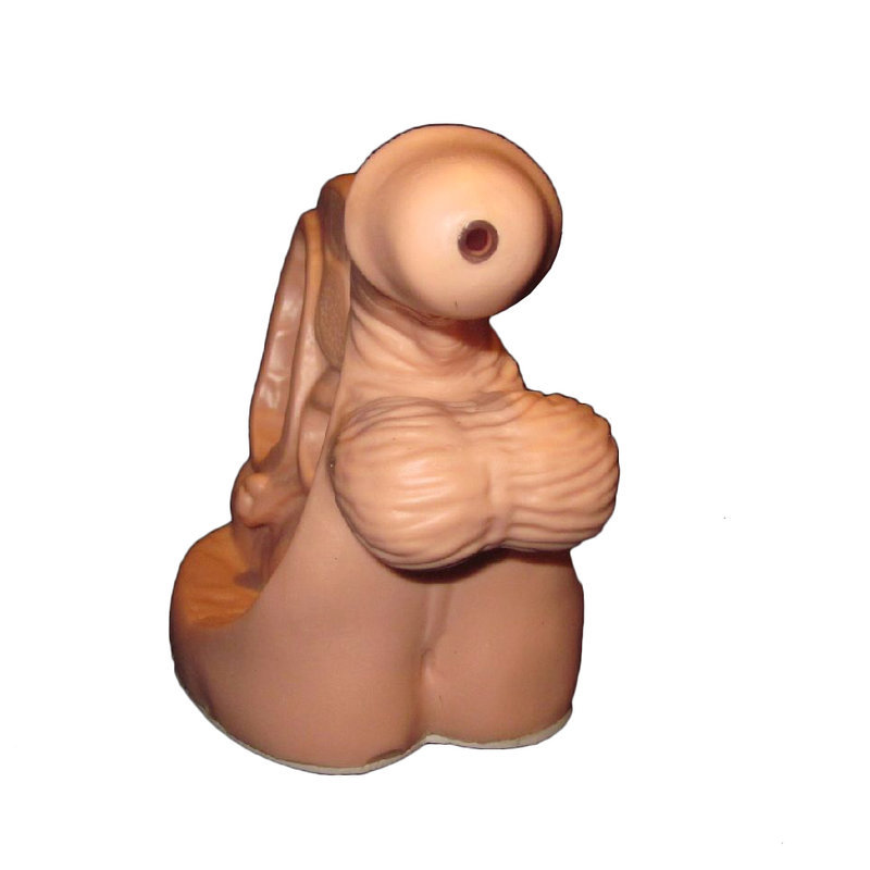 Anatomical Human Male Catheterisation Training Model