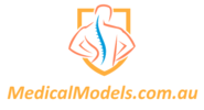 Medical Models