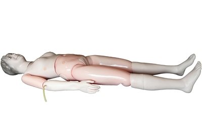 Nursing and Training Models