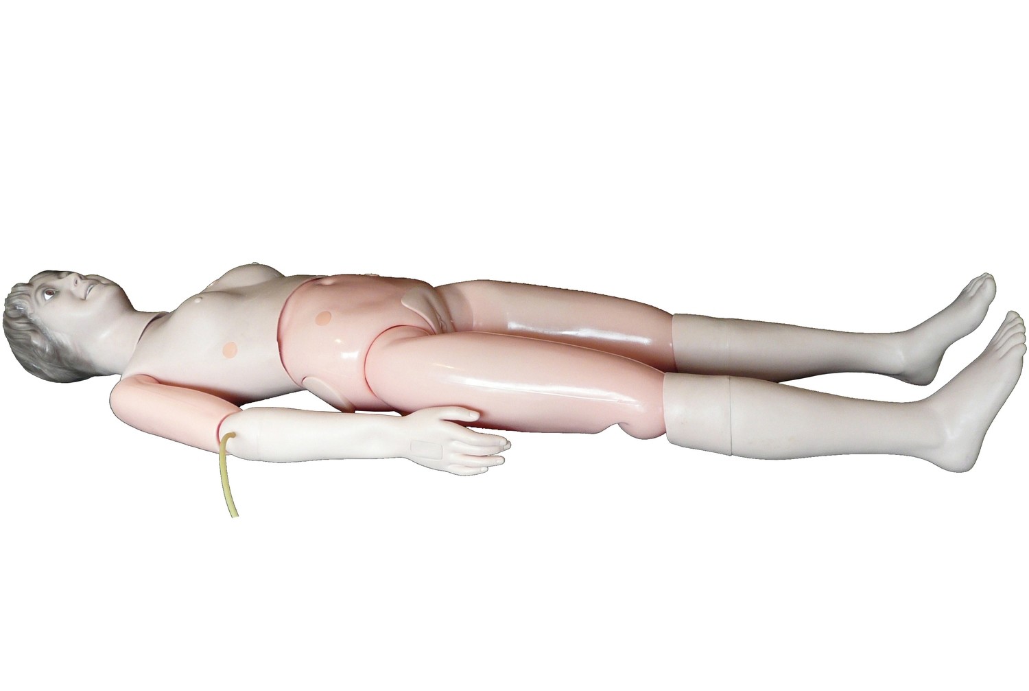Anatomical Human Multifunctional Patient Care Manikin Model