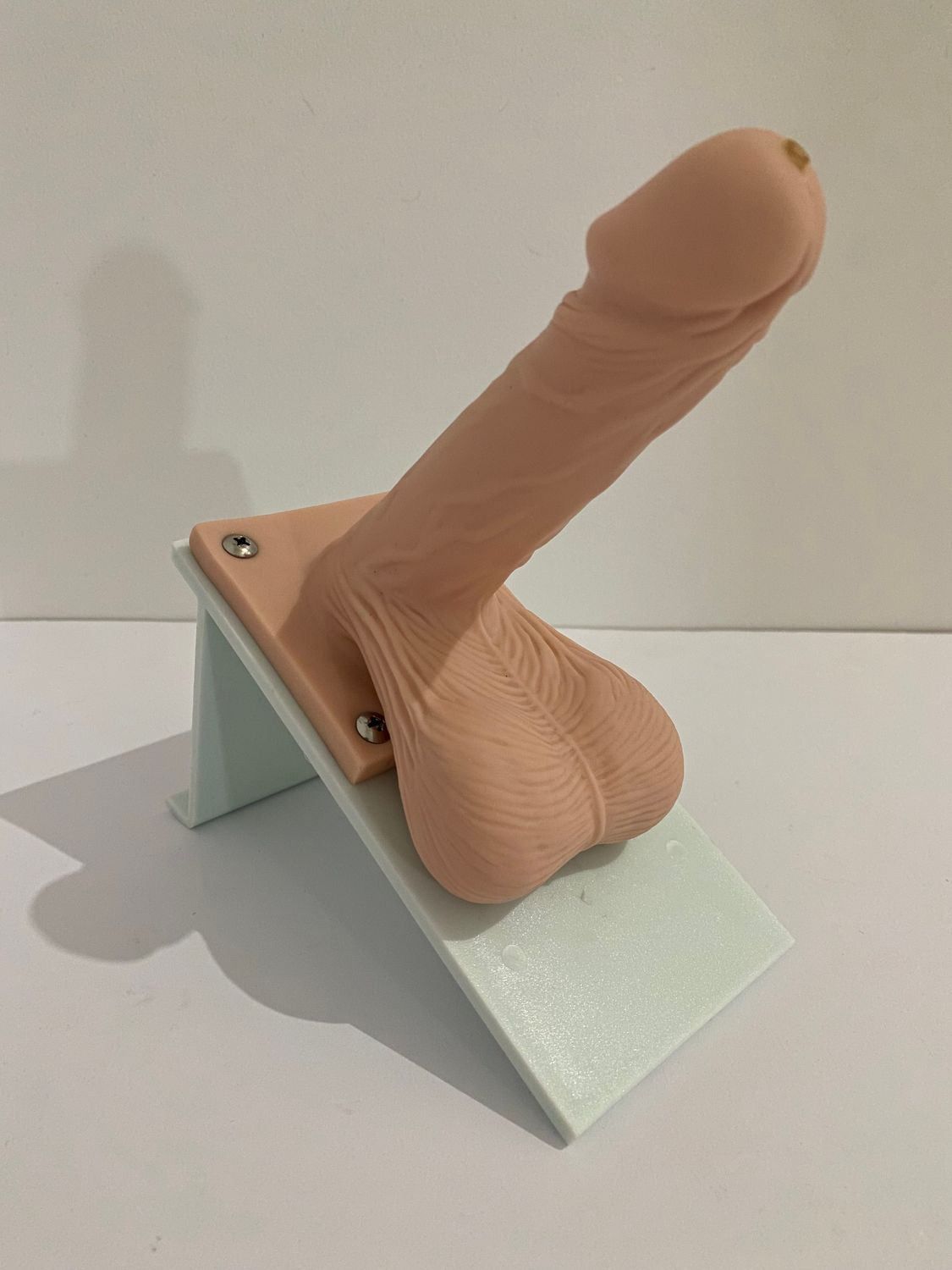 Anatomical Human Condom Training Penis Model