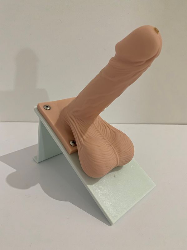 Anatomical Human Condom Training Penis Model