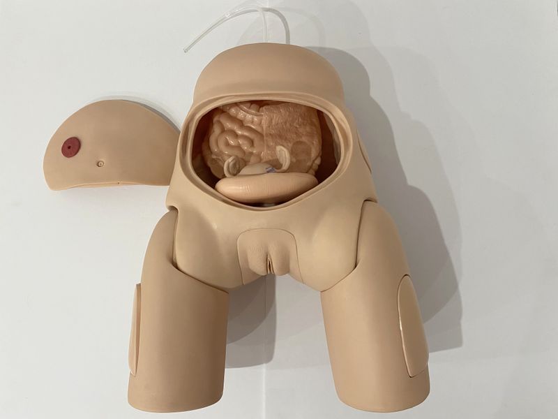 Female Catheterisation Advanced Training Model