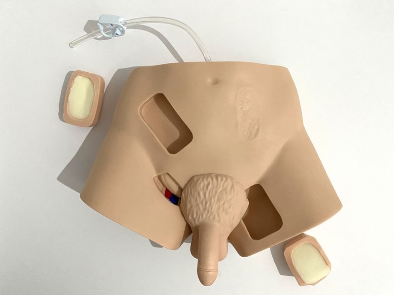 Anatomical  Male Catheterisation Training Model