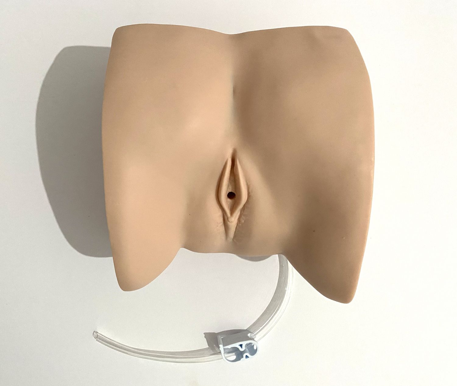 Anatomical Female Catheterisation Training Model Anatomical Female Catheterisation Training Model