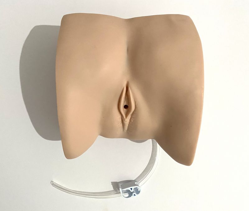 Anatomical  Female Catheterisation Training Model