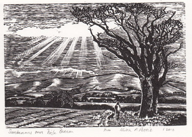 Sunbeams over Firle Beacon