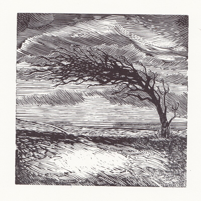 The stronger the wind