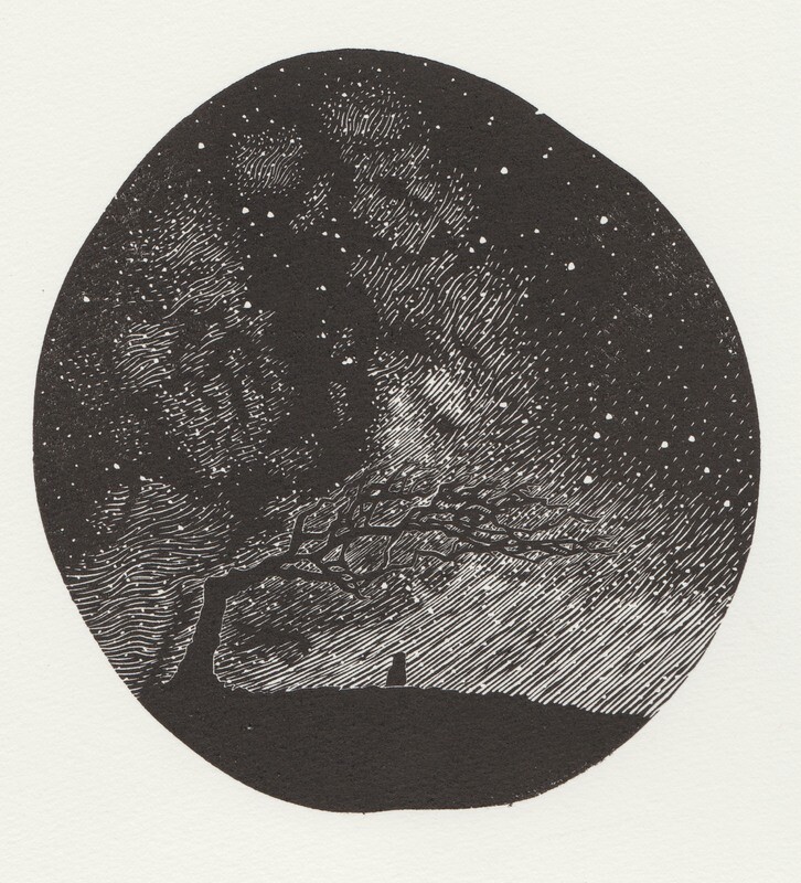 &#39;the altitudes of stars&#39;