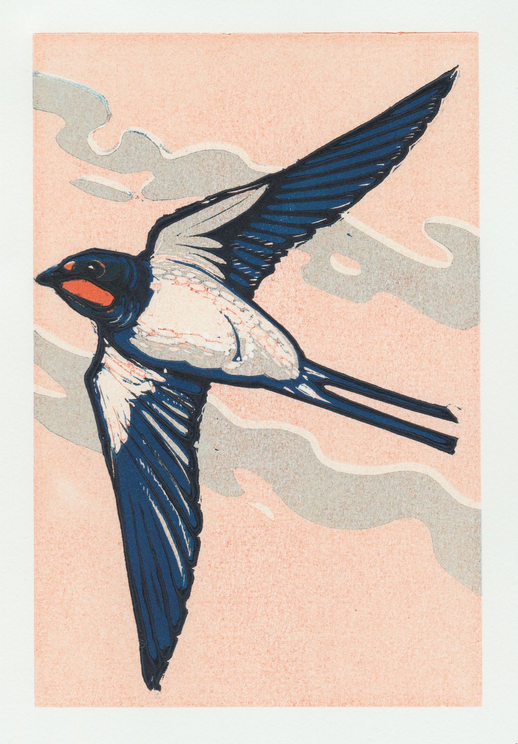 Swallow