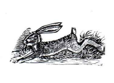 Running Hare