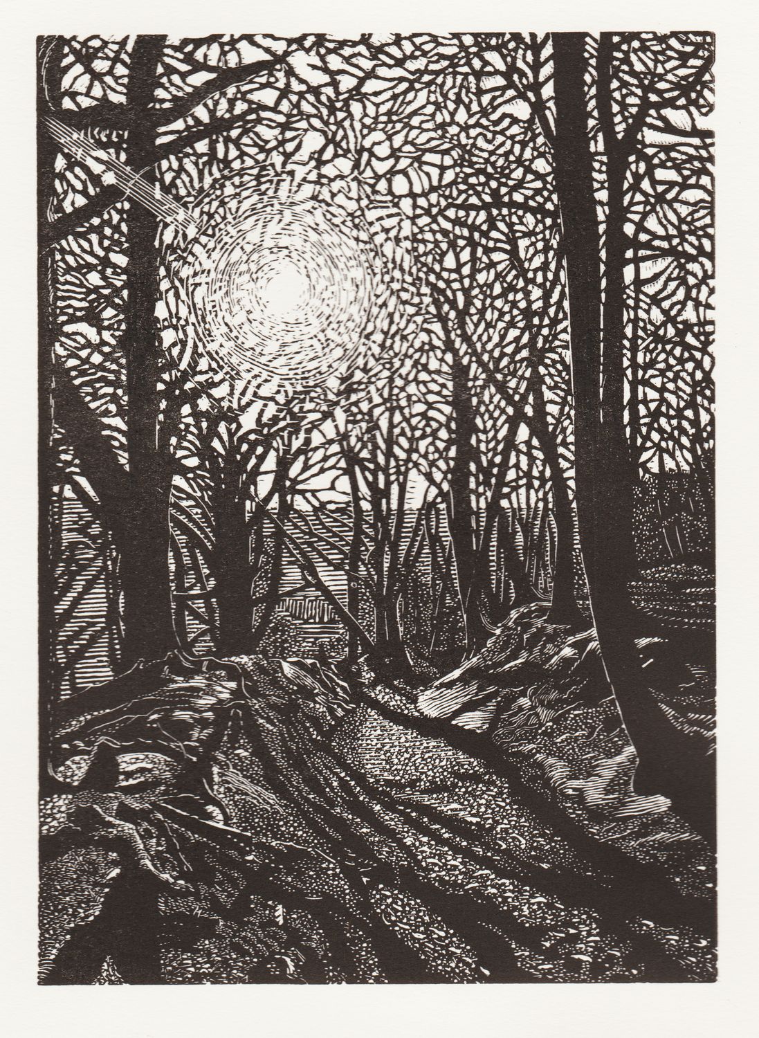 The way through the woods