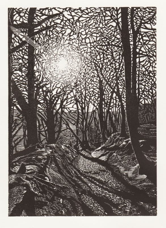 The way through the woods