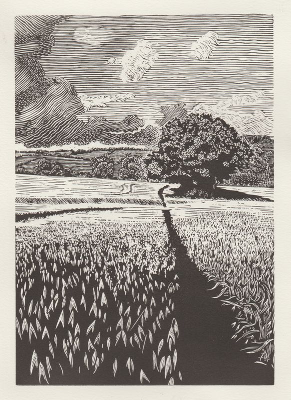 Home on a golden tide