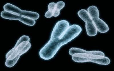 Prueba del Cromosoma Y