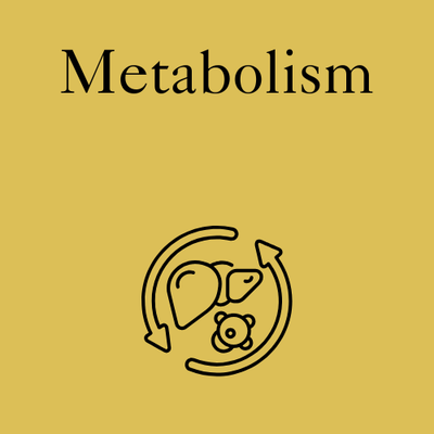 Metabolism | GLP Support
