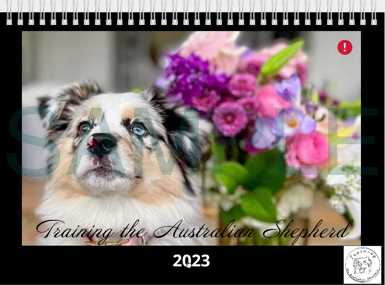 2023 Group Calendar
