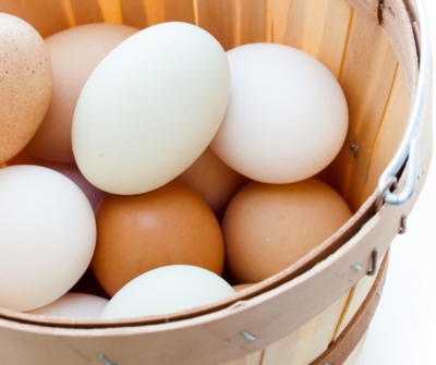 Eggs