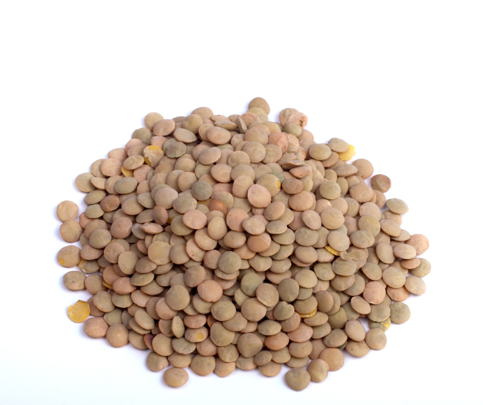 Brown lentil