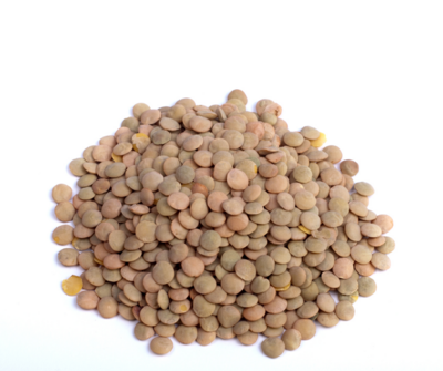 Brown Lentils