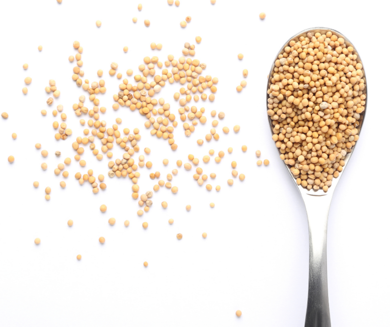 Mustard Seeds