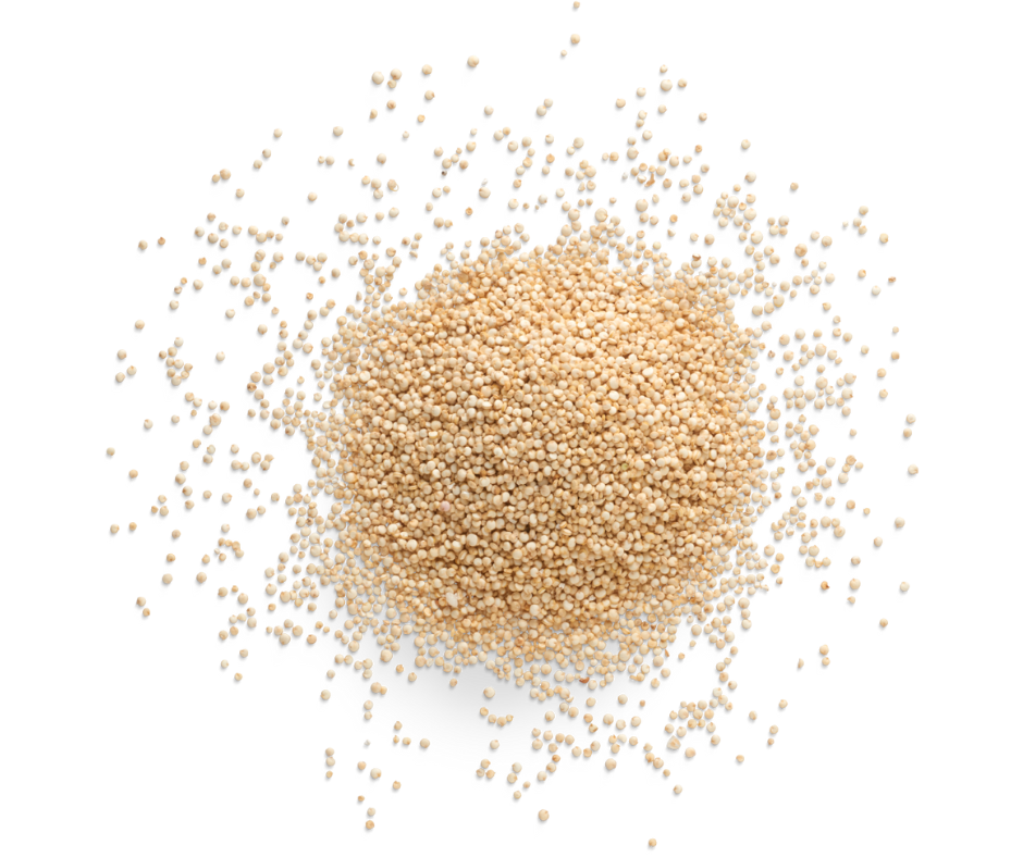White Quinoa