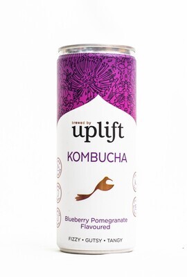 Uplift Kombucha - Blueberries &amp; Pomegranate 250ml