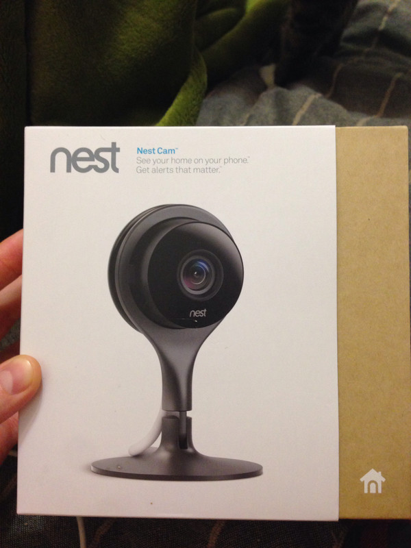 Nest cam
