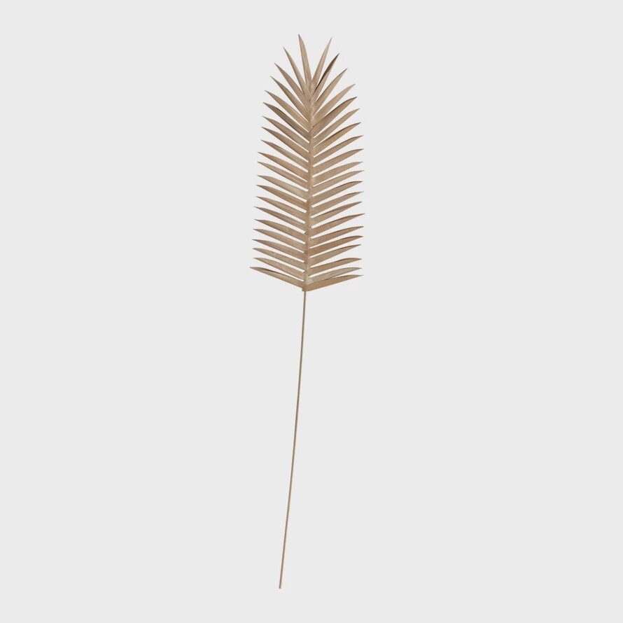 Palm Pick