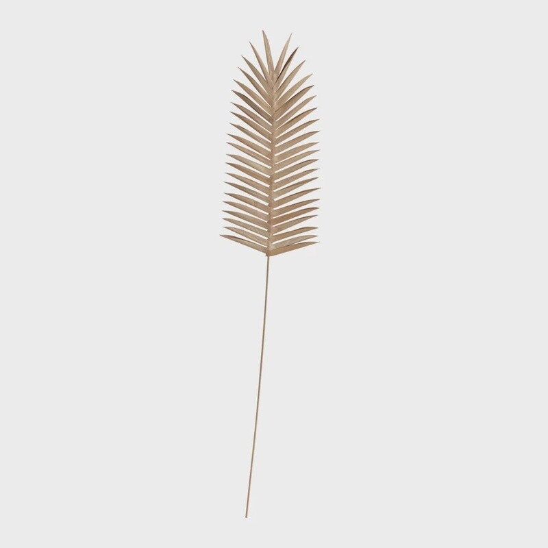 Palm Pick
