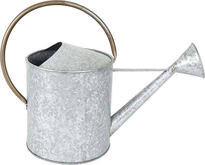 Galvanized Metal Watering Can