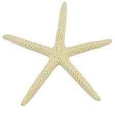 Seashell Finger Starfish