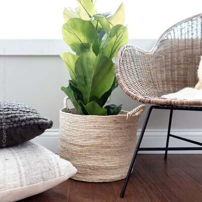 Planters, Pots & Garden