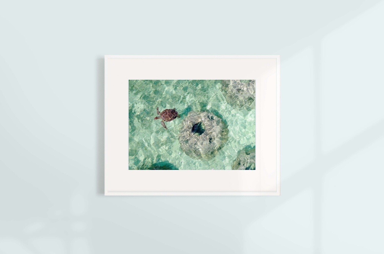 In Flight, Size: 8 x 10
