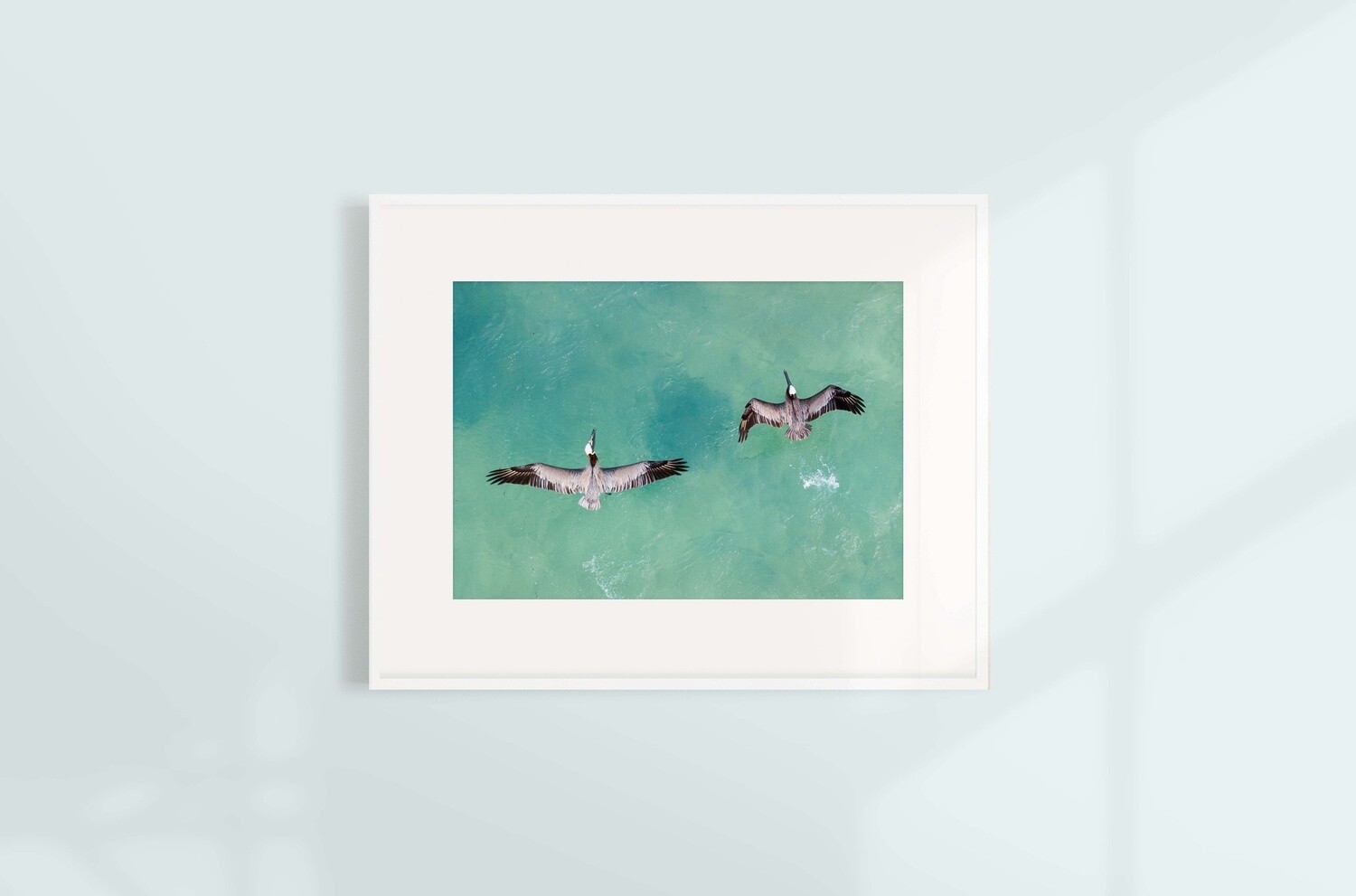 Pair of Pelicans, Size: 8 x 10