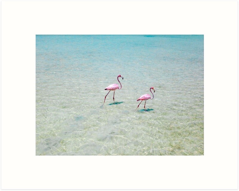 Flamboyant Footprints