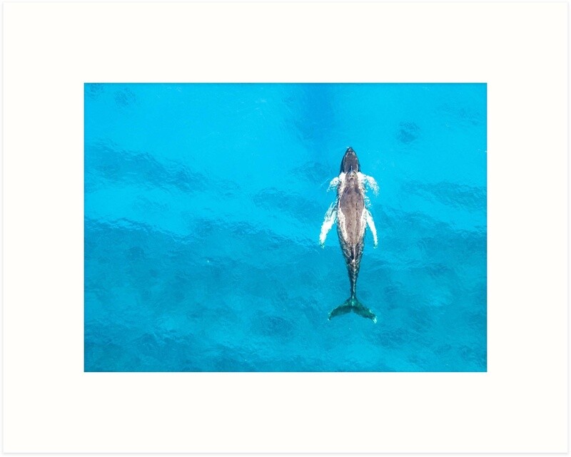 Take a Breath