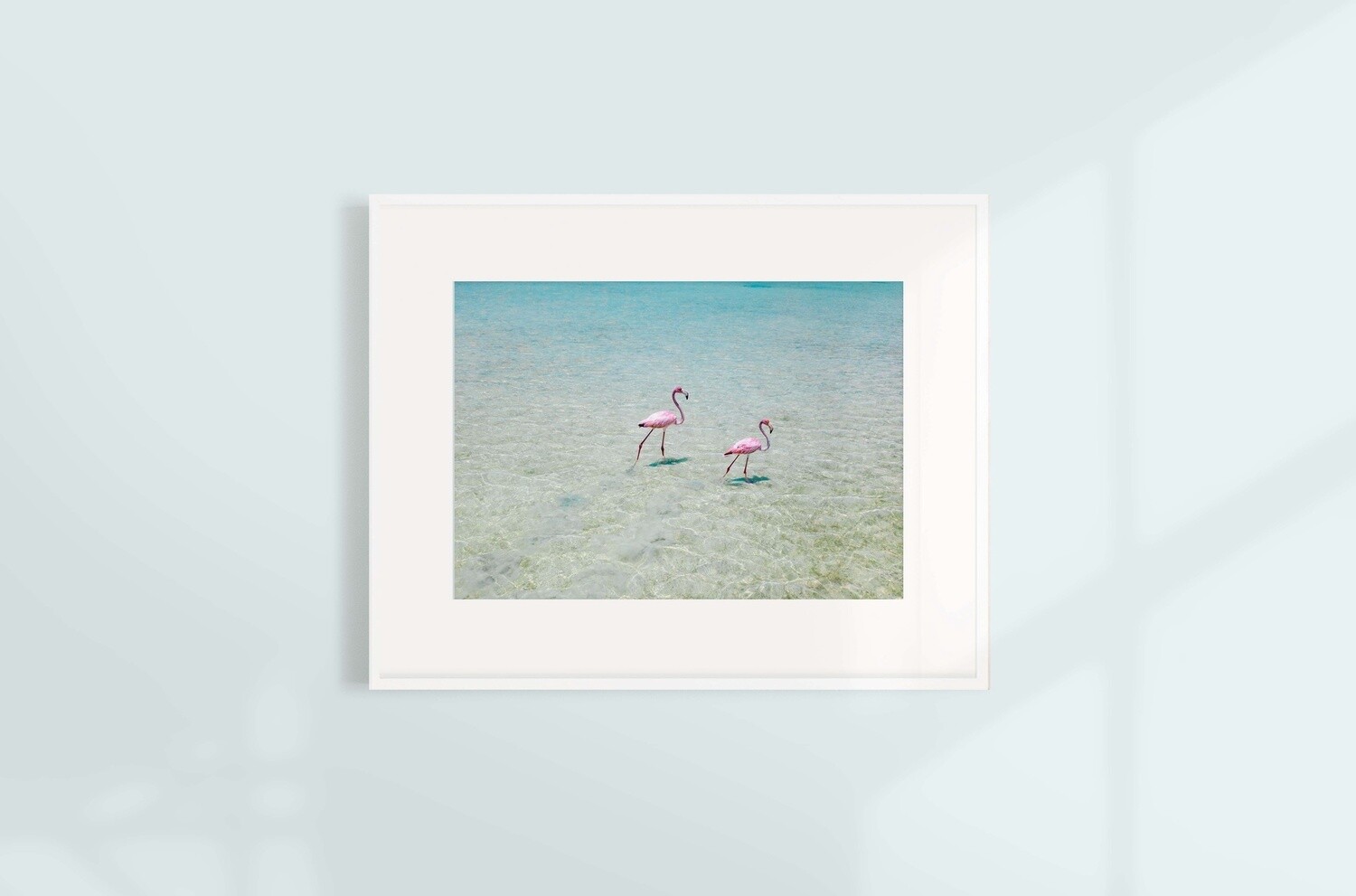 Flamboyant Footprints, Size: 8 x 10