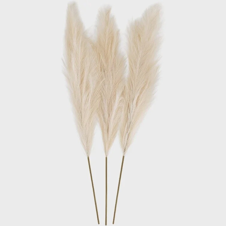 Pampas Grass