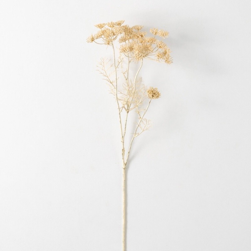 Cream Queen Anne’s Lace Spray