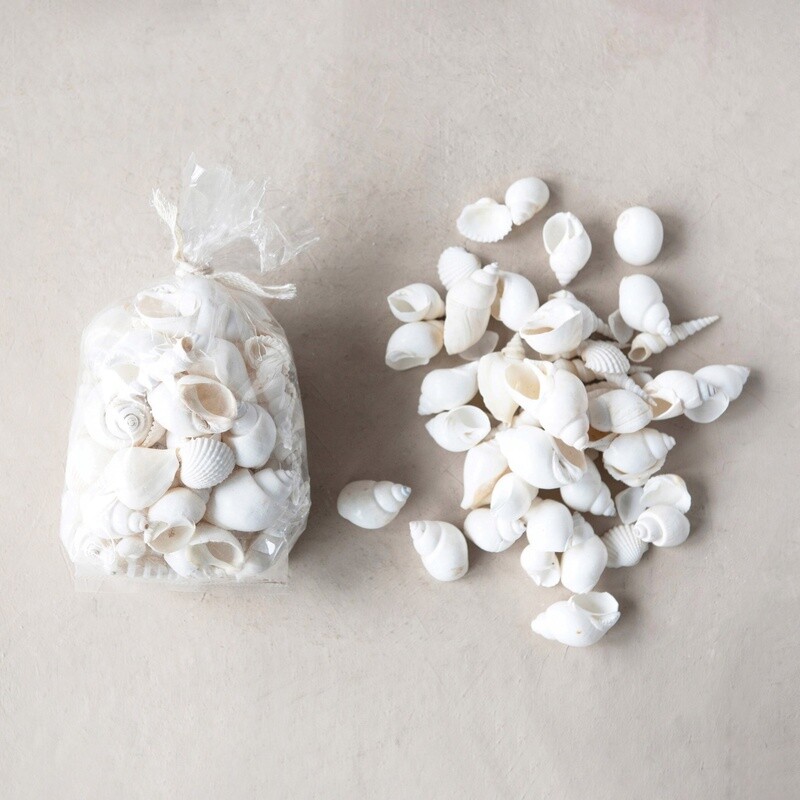 Shells in Bag